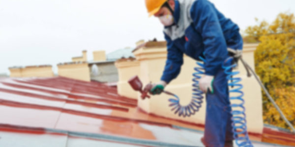 builder roofer painter